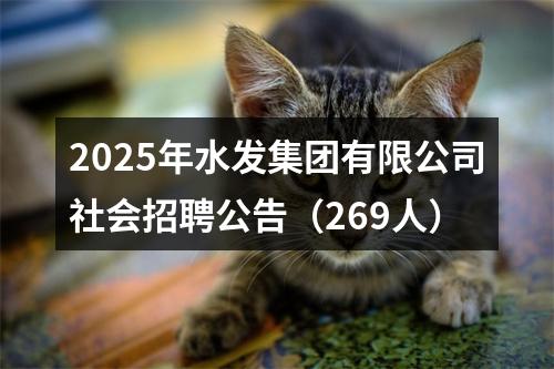 2025年水发集团有限公司社会招聘公告（269人） 图片
