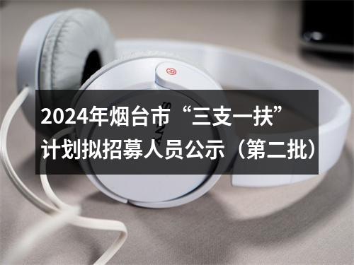 2024年烟台市“三支一扶”计划拟招募人员公示（第二批） 图片
