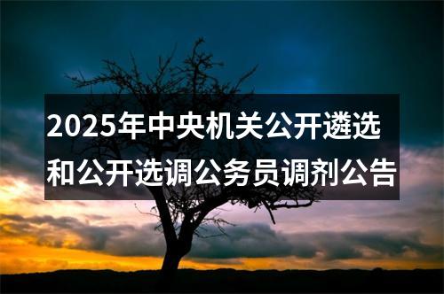 2025年中央机关公开遴选和公开选调公务员调剂公告 图片
