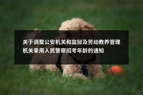 关于调整公安机关和监狱及劳动教养管理机关录用人民警察招考年龄的通知 图片