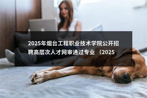 2025年烟台工程职业技术学院公开招聘高层次人才网审通过专业 （2025年6月19日） 图片