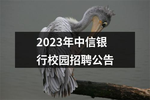 2023年中信银行校园招聘公告 图片
